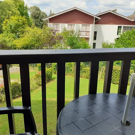 Daire Cure Avec Acces Direct Thermes Dax